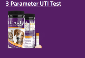 Are Human And Dog Urine Test Strips The Same?
