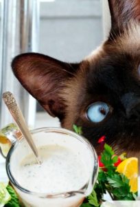 Can Cats Eat Ranch Dressing? Understanding the Risks and Alternatives