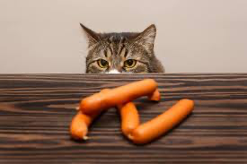 So, can cats eat Vienna sausages?